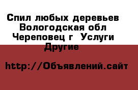 Спил любых деревьев - Вологодская обл., Череповец г. Услуги » Другие   